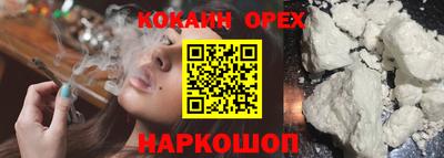 круглые Камышлов
