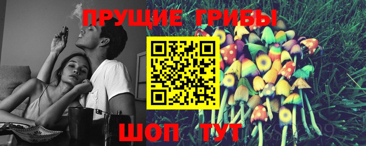 Псилоцибиновые грибы мицелий Ленинск-Кузнецкий